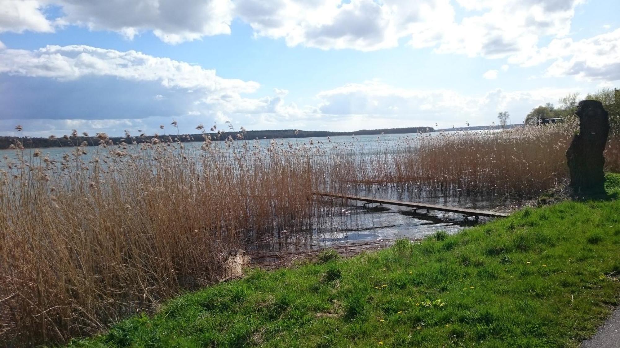 Idyll Im Land Der 1000 Seen Liessow  Exteriör bild